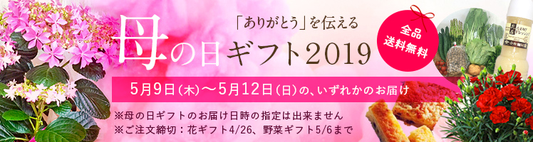 母の日ギフト