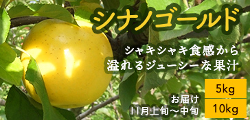シナノゴールド