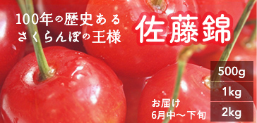 佐藤錦