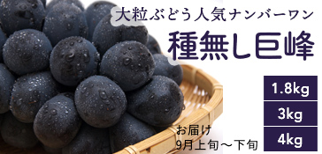 種無し巨峰