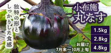 小布施丸なす