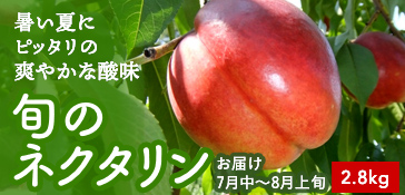 ネクタリン