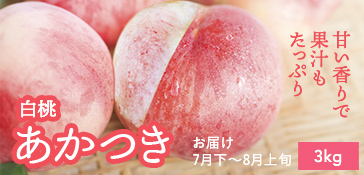 あかつき