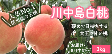 川中島白桃