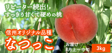 なつっこ