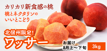 ワッサー