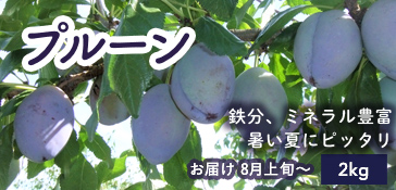 プルーン