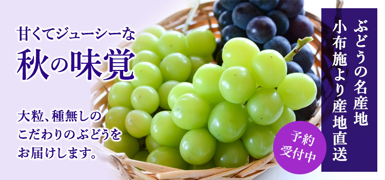 ぶどう