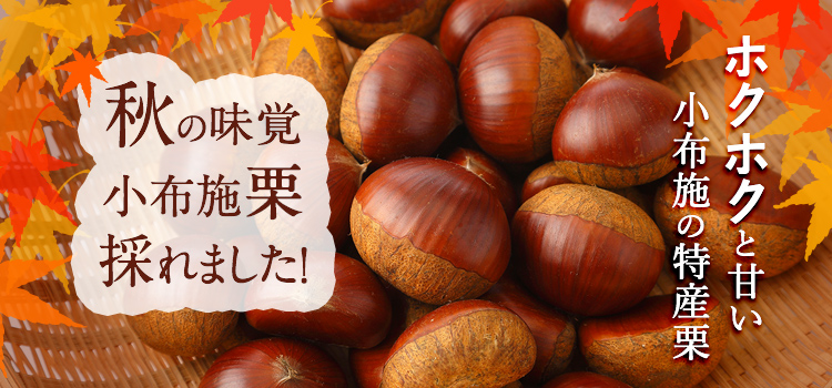 栗