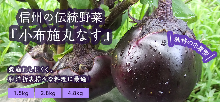 小布施丸なす