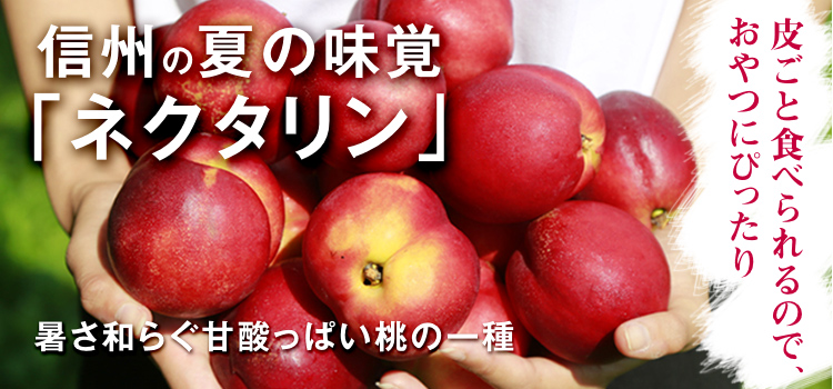 ネクタリン