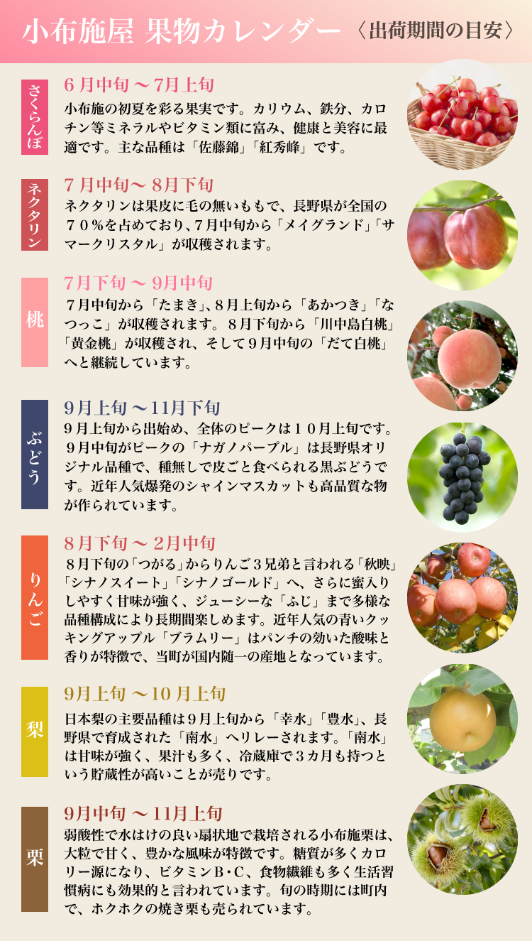 送料無料】りんご サンふじ 特秀品 約10kg