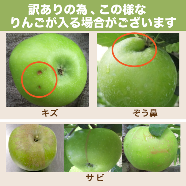まきりんご　 送料無料】クッキングアップル「ブラムリー」約2.8kg｜小布施屋