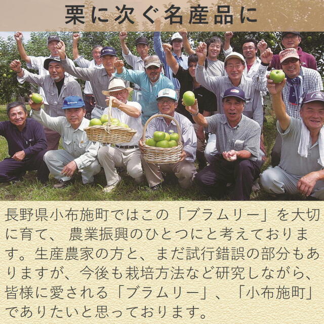 ブラムリー4
