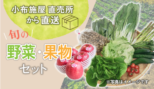 送料無料】直売所から直送　旬の野菜・果物セット